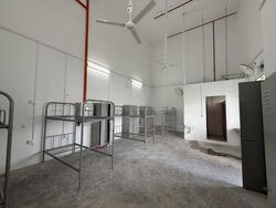 Platinum@pioneer (D22), Factory #526637331